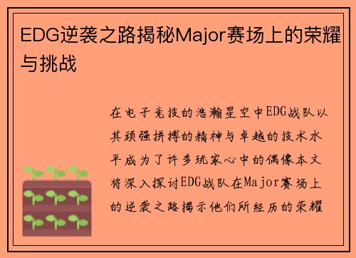 EDG逆袭之路揭秘Major赛场上的荣耀与挑战